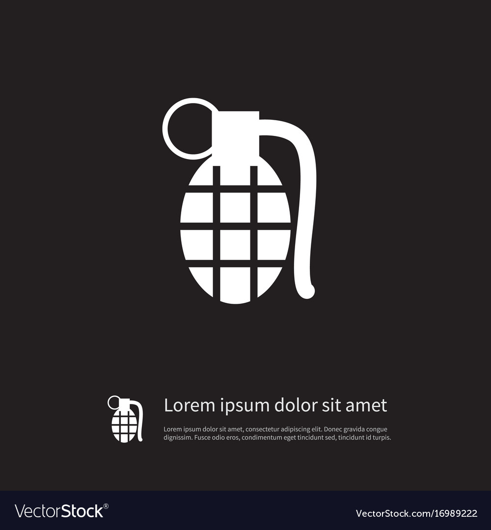 Isolated grenade icon dynamite element can