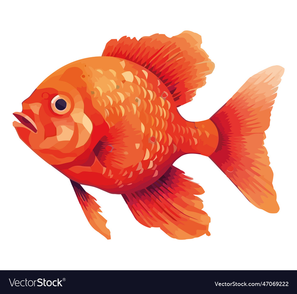 Multi colored goldfish swimming in blue water