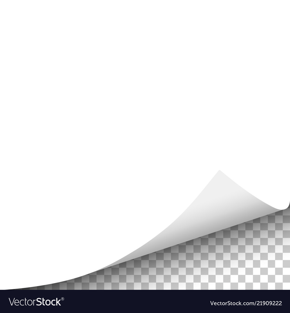 White sheet of paper with curled corner