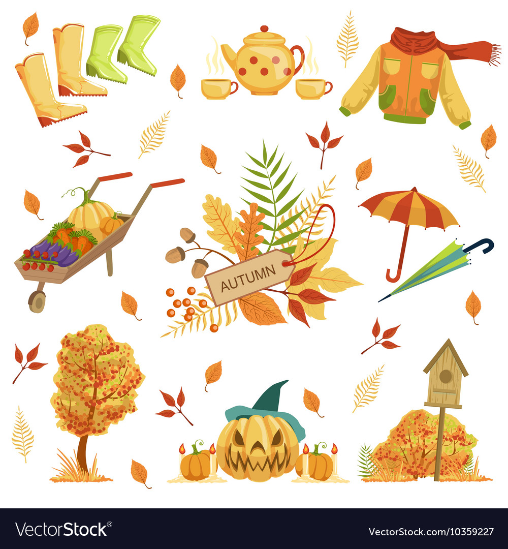 Set of autumn related objects