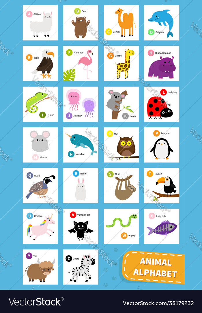 Animal zoo abc alphabet cute cartoon set baby