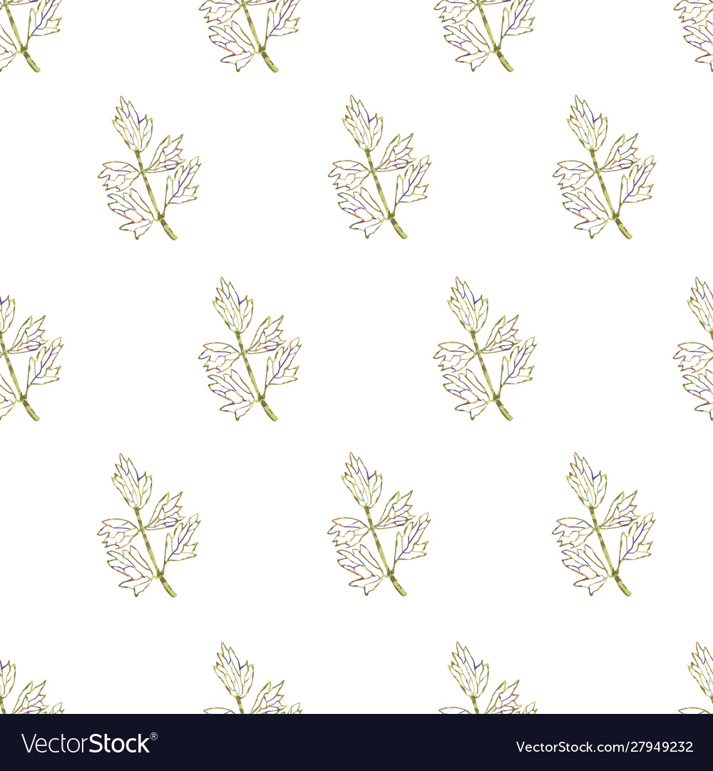 Seamless pattern with herbs plants