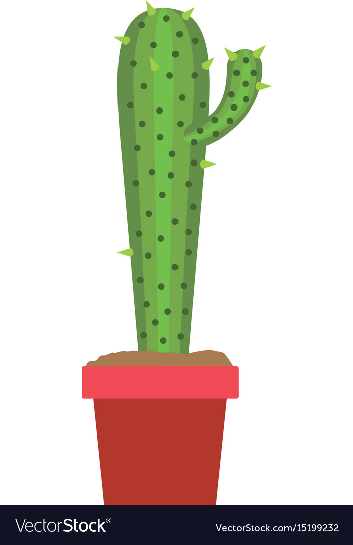 White background with cactus small branch