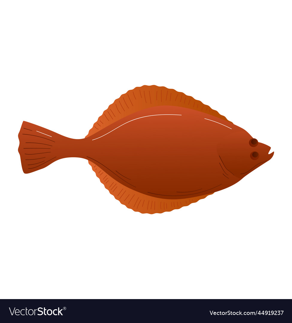 Cartoon halibut fish from sea isolated on white Vector Image