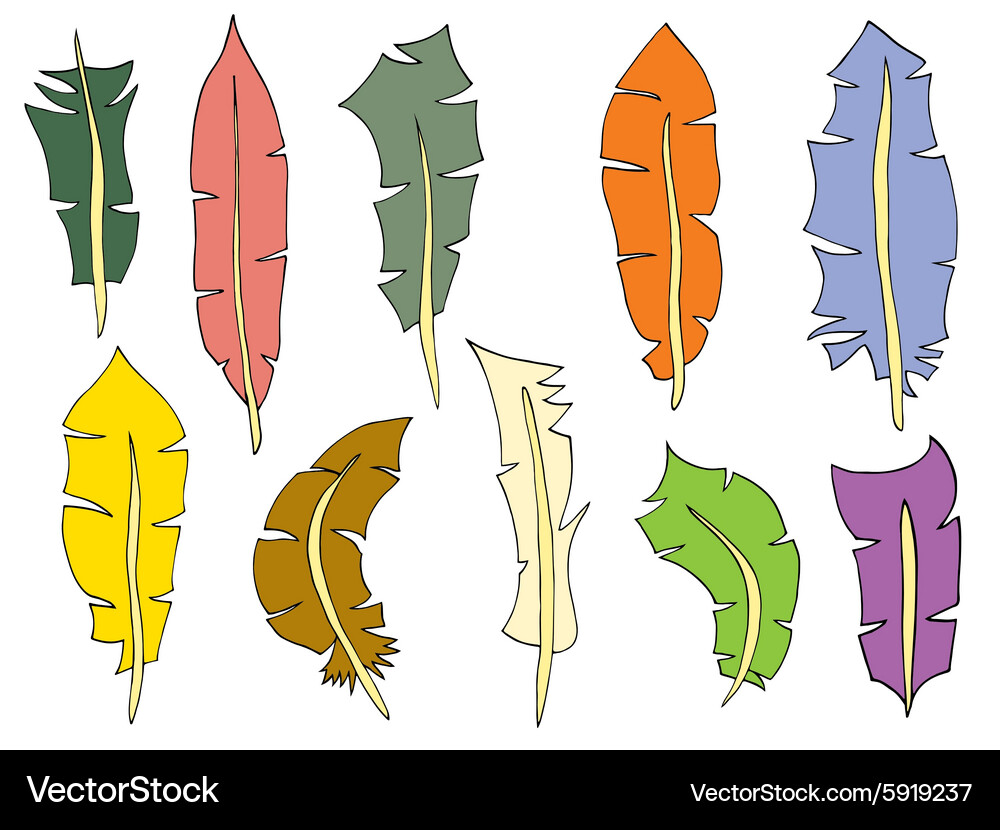 Feather set Royalty Free Vector Image - VectorStock