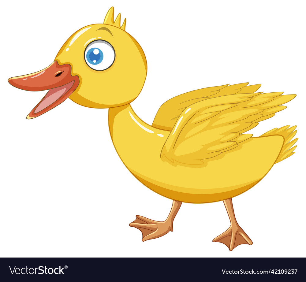 Little duck with yellow feather Royalty Free Vector Image