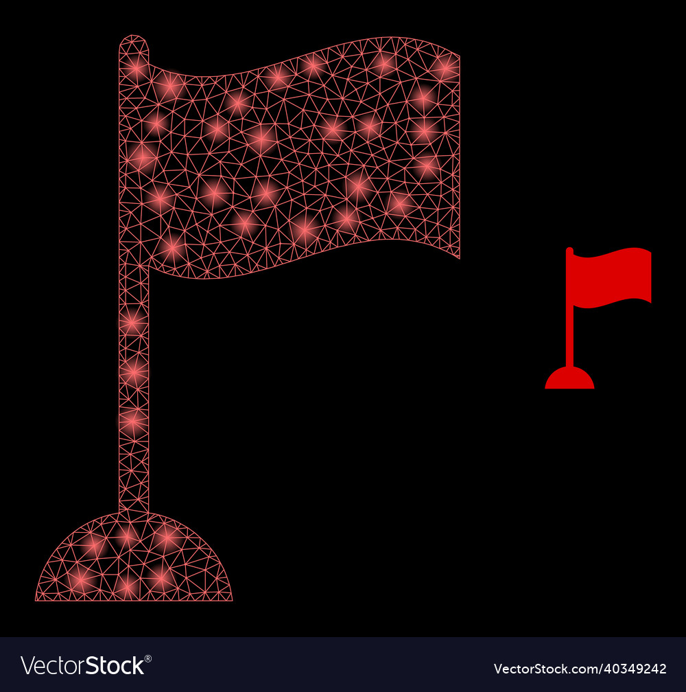 Mesh net flag marker with magic carcass vector image Mesh net flag marker with magic carcass