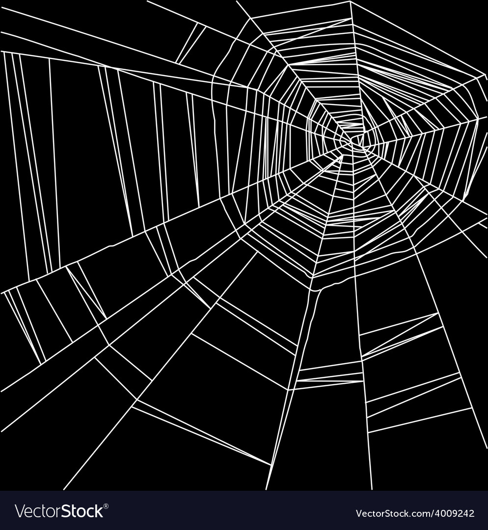 black and white spider