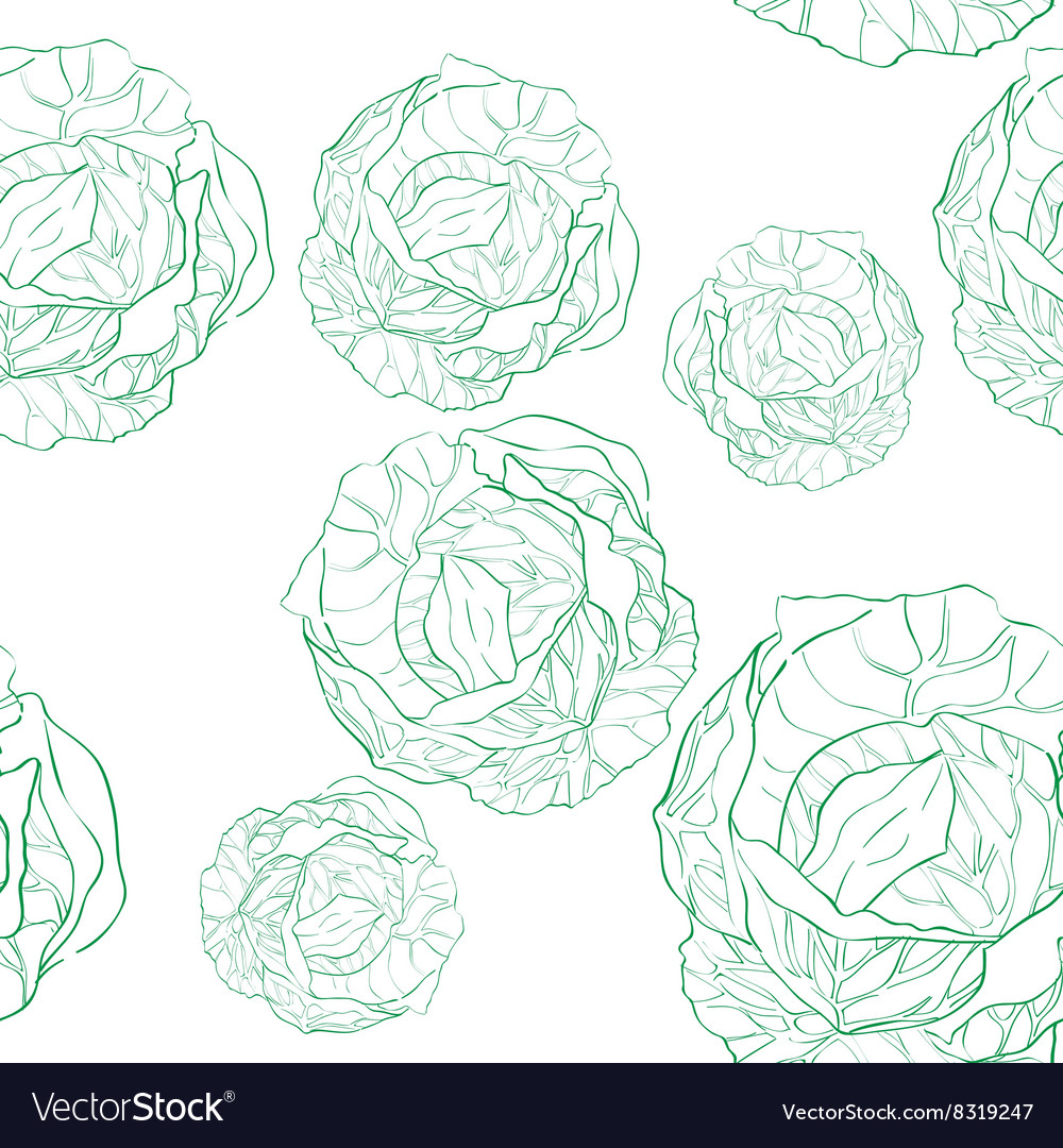 Cabbage pattern