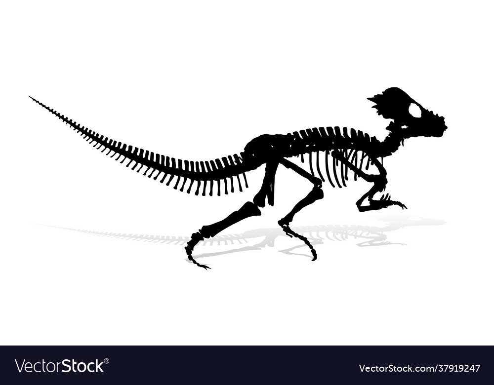 Skeleton antike große Dinosaurier