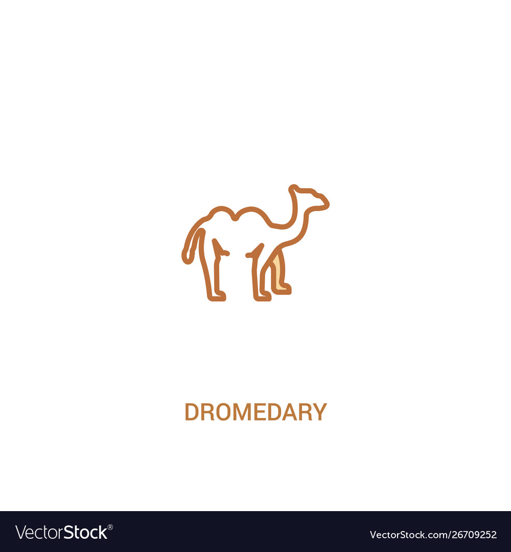 Dromedary concept 2 colored icon simple line