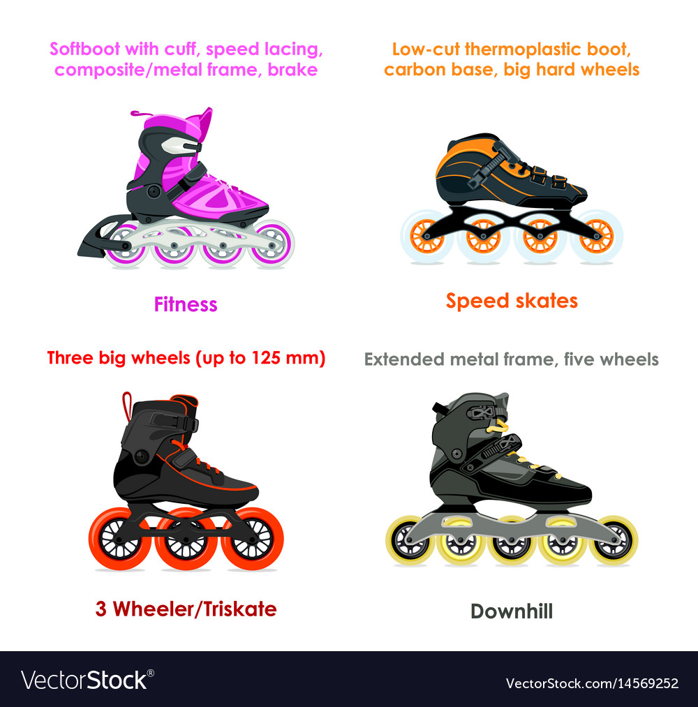 inline-skate-types-set-i-royalty-free-vector-image