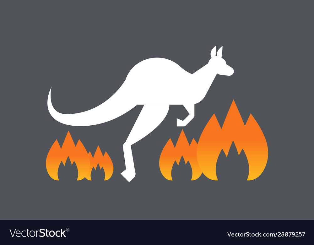 Kangaroo running escaping from forest wild fires