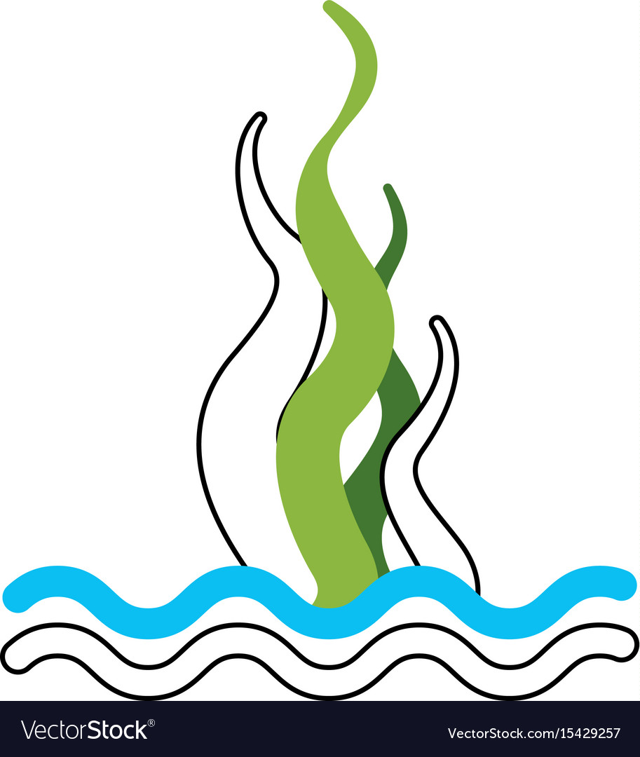 Marine seaweed sealife icon