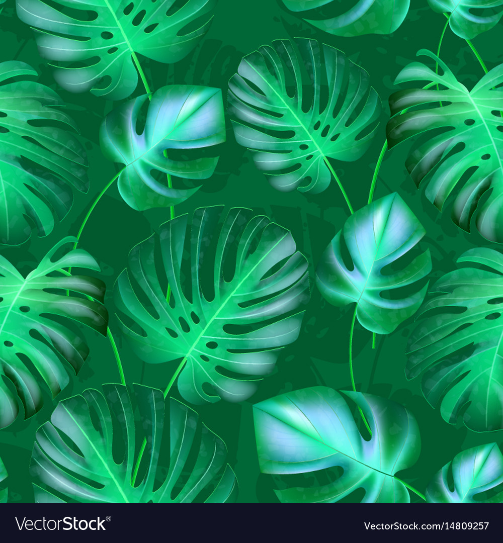 Tropical Monstera Leaves Pattern