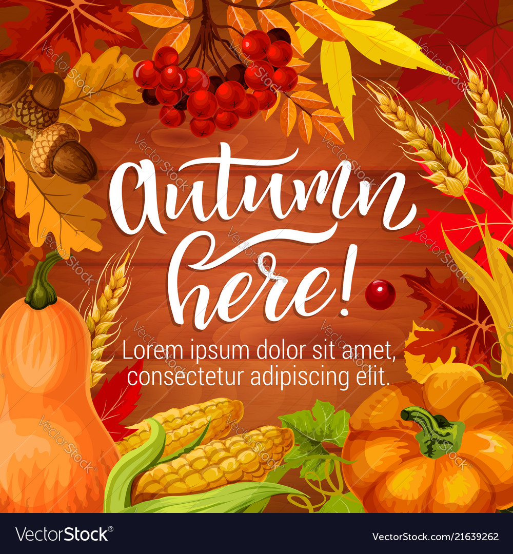 Autumn season harvest holiday poster Royalty Free Vector