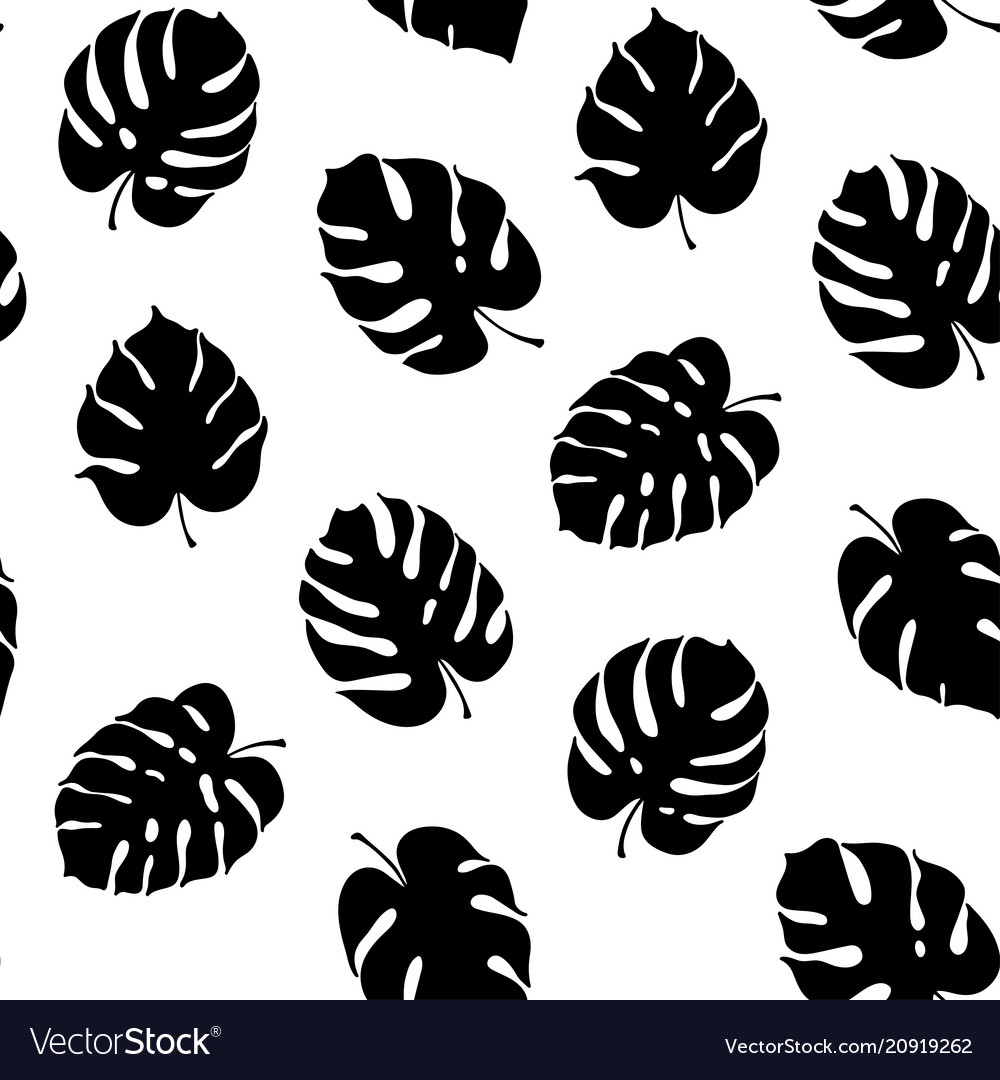 Monstera Leaf Silhouette