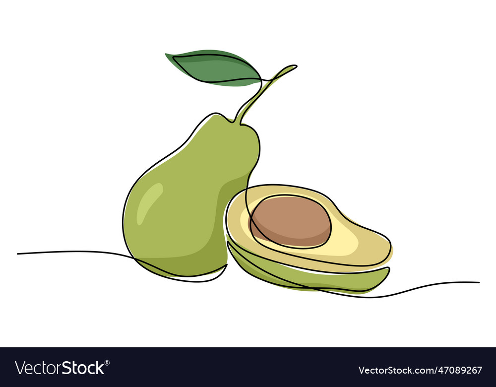Avocado continuous one line drawing fruit