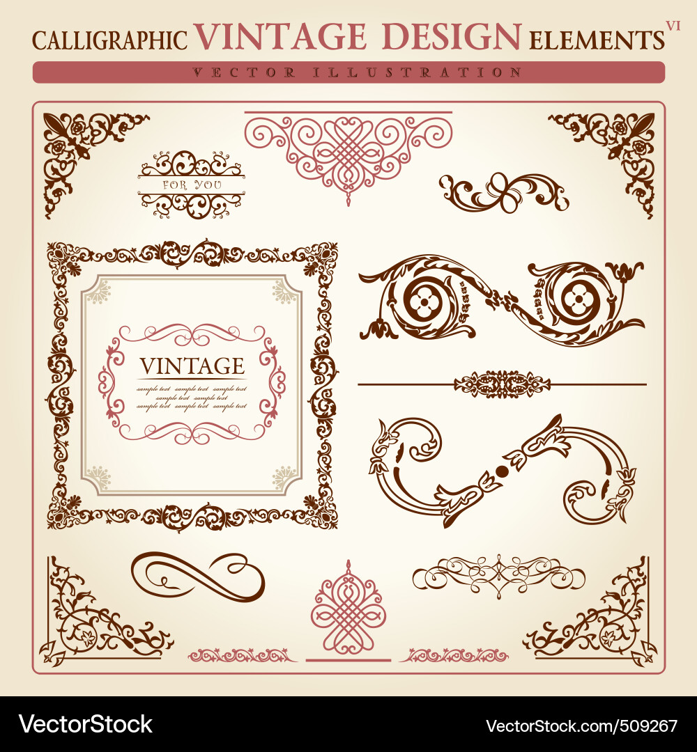Calligraphic elements vintage ornament set vector Vector Image