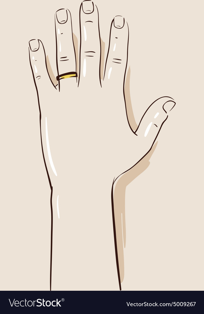 Illustration of line drawing a closeup of hands exchanging wedding rings.  Wedding couple hands. Groom put