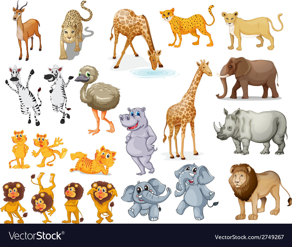 Wildlife set Royalty Free Vector Image - VectorStock