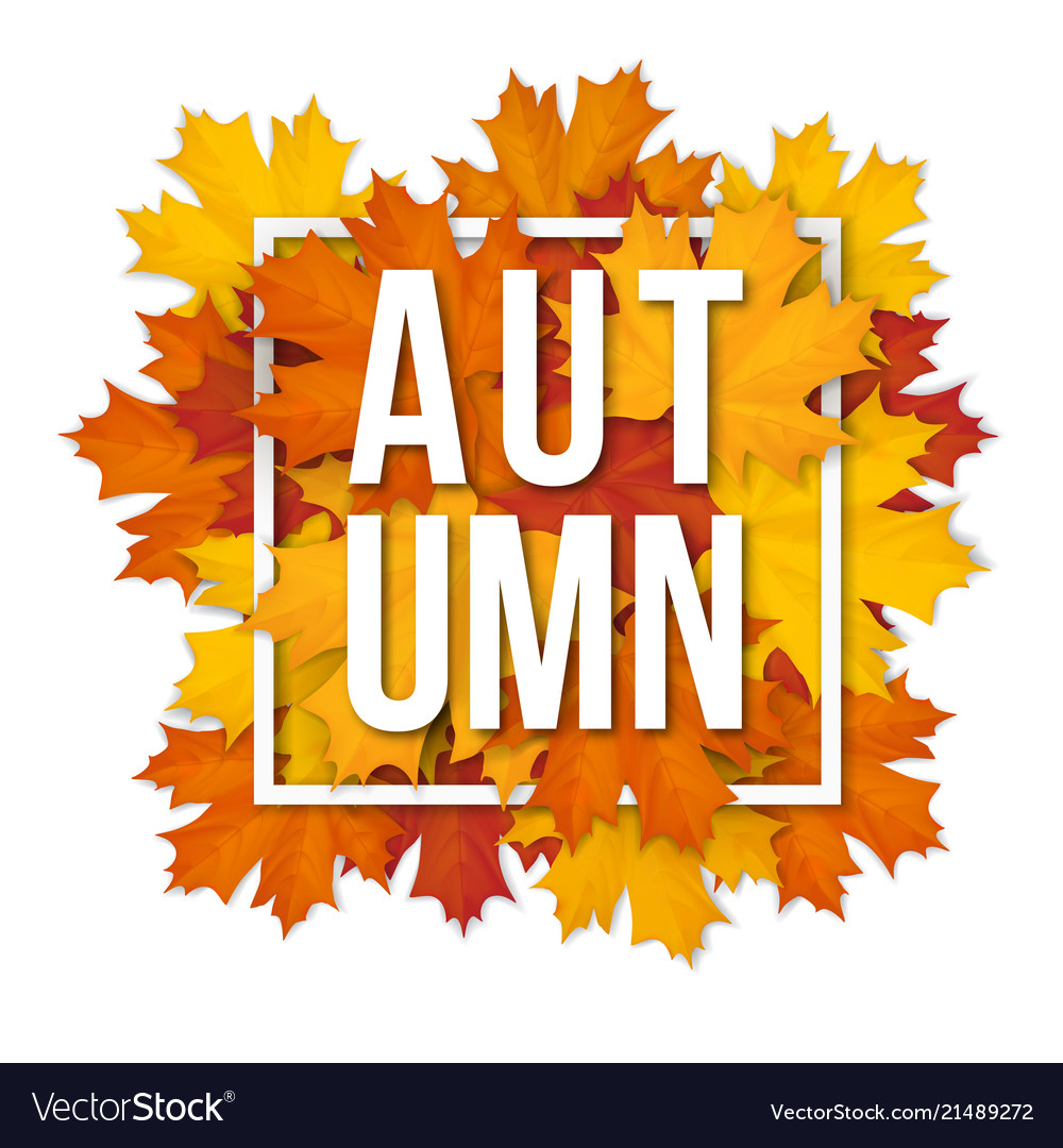 Frame with autumn maple leaves vector image Frame with autumn maple leaves