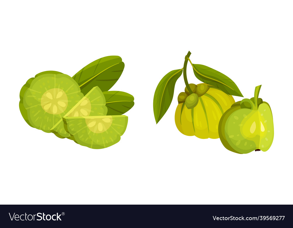 Whole and cut sweet green exotic tropical fruit Vector Image