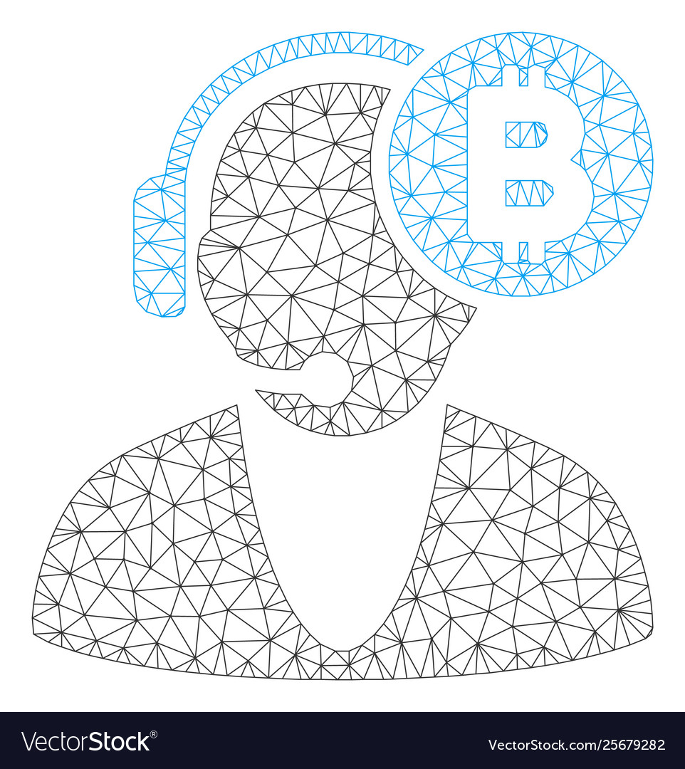 Bitcoin operator mesh carcass model vector image Bitcoin operator mesh carcass model