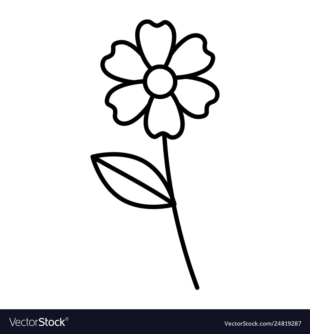 Beautiful flower drawing monochrome Royalty Free Vector