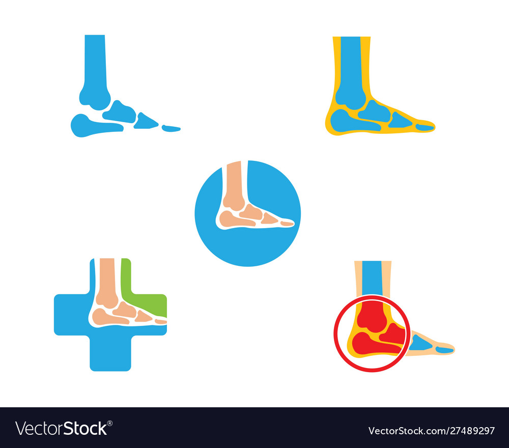 Foot Bone Logo Royalty Free Vector Image - Vectorstock