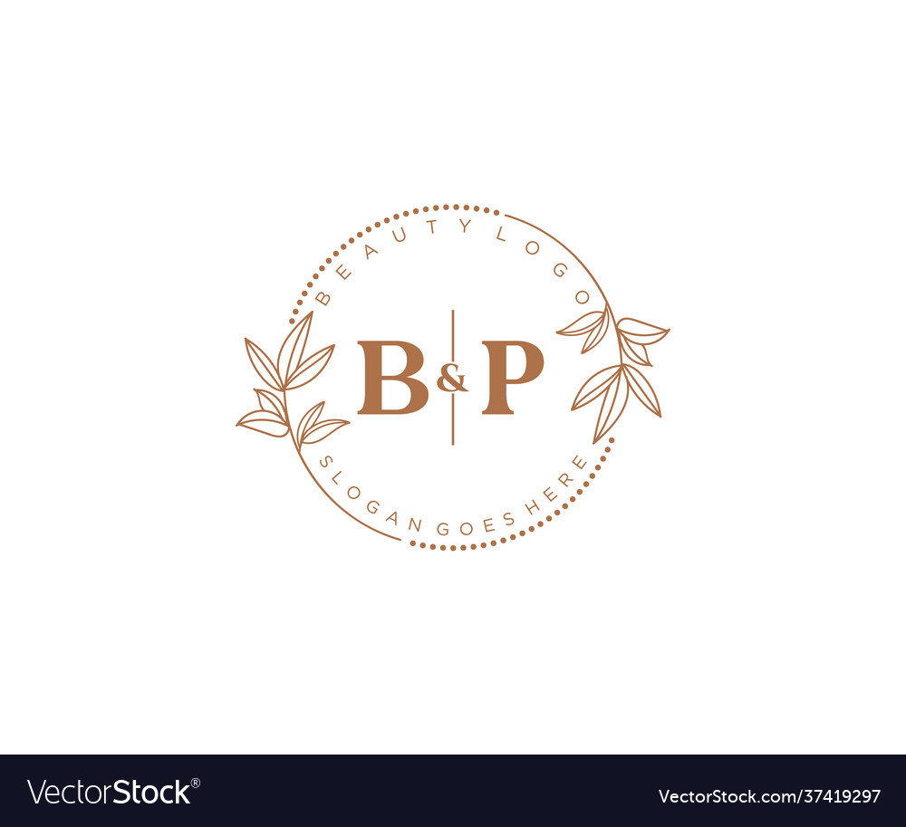 Initial bp letters beautiful floral feminine Vector Image