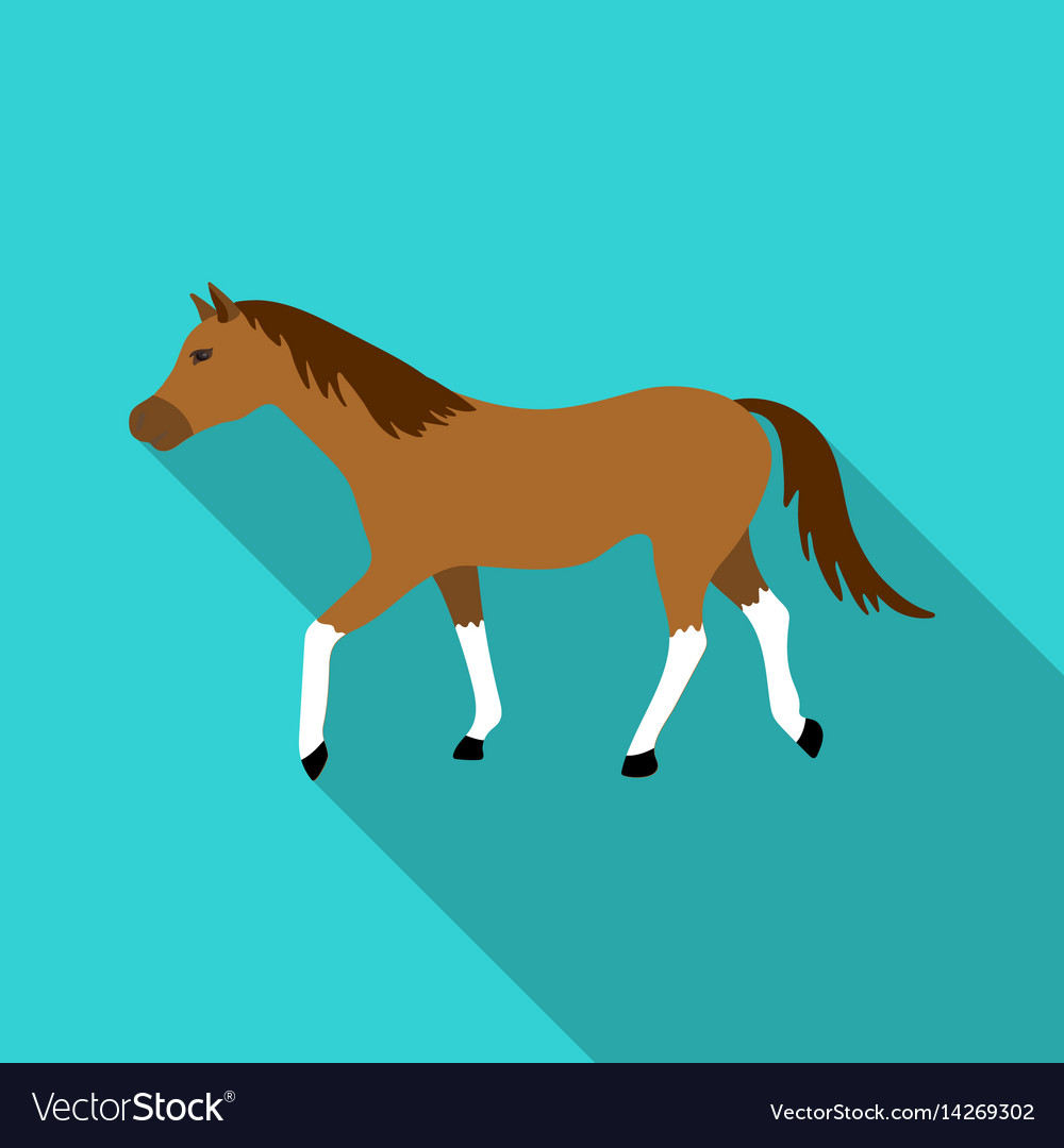 Horse Face Flat Icon Illustration Stock Vector by ©creativestall 89068882