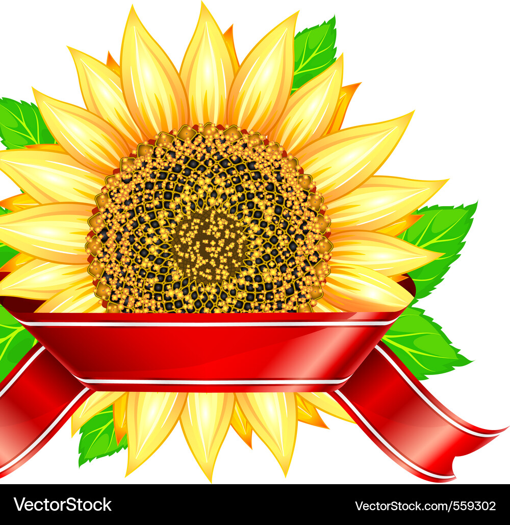 Label design with sunflower leafs and red ribbon Vector Image
