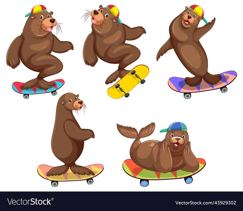 Set of different sea lions cartoon characters Vector Image Set of different sea lions cartoon characters Vector Image