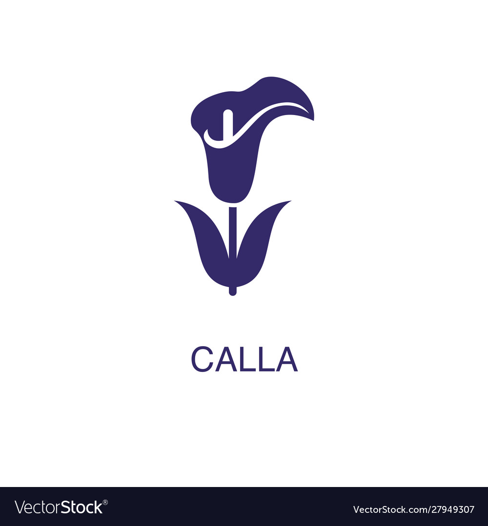 Calla element in flat simple style on white