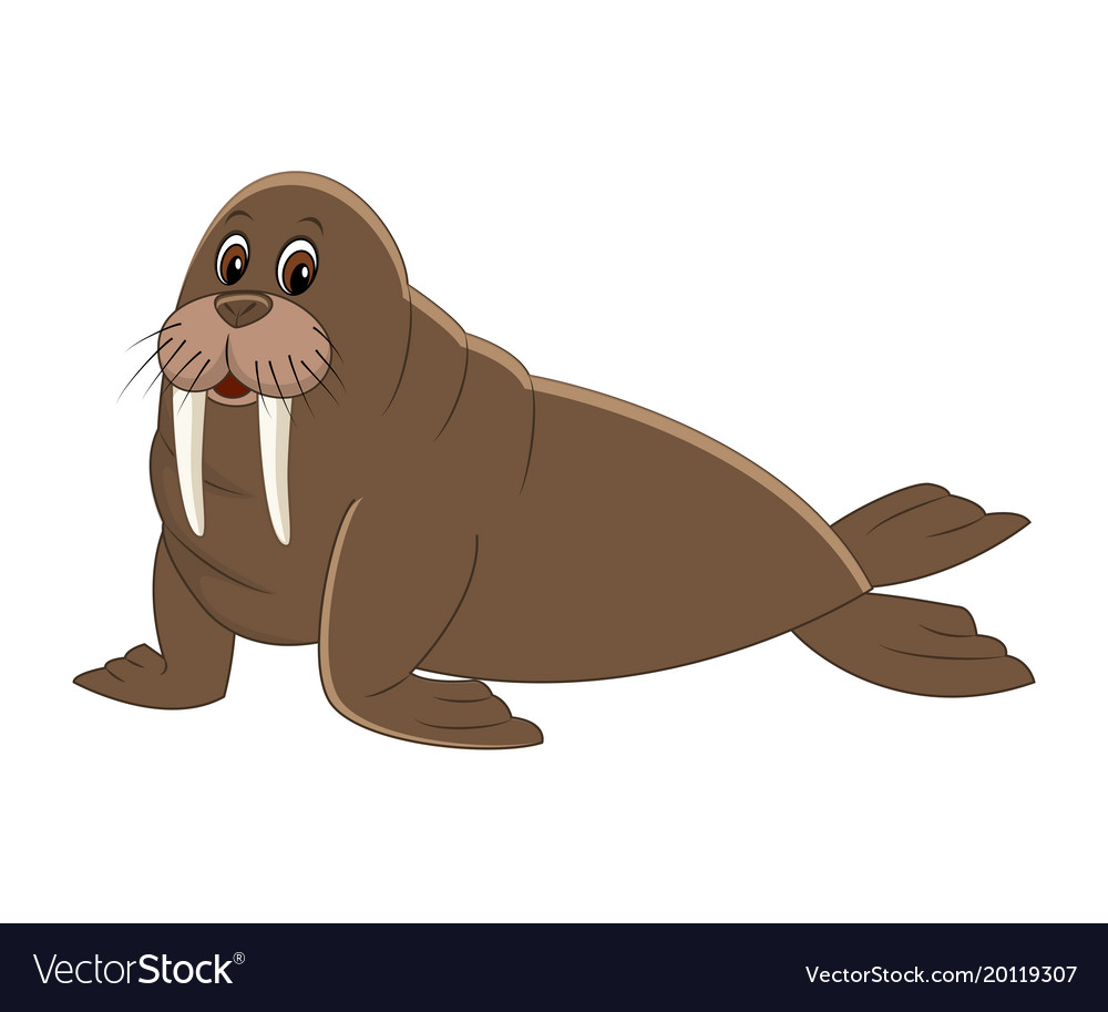 Cute cartoon walrus Royalty Free Vector Image - VectorStock