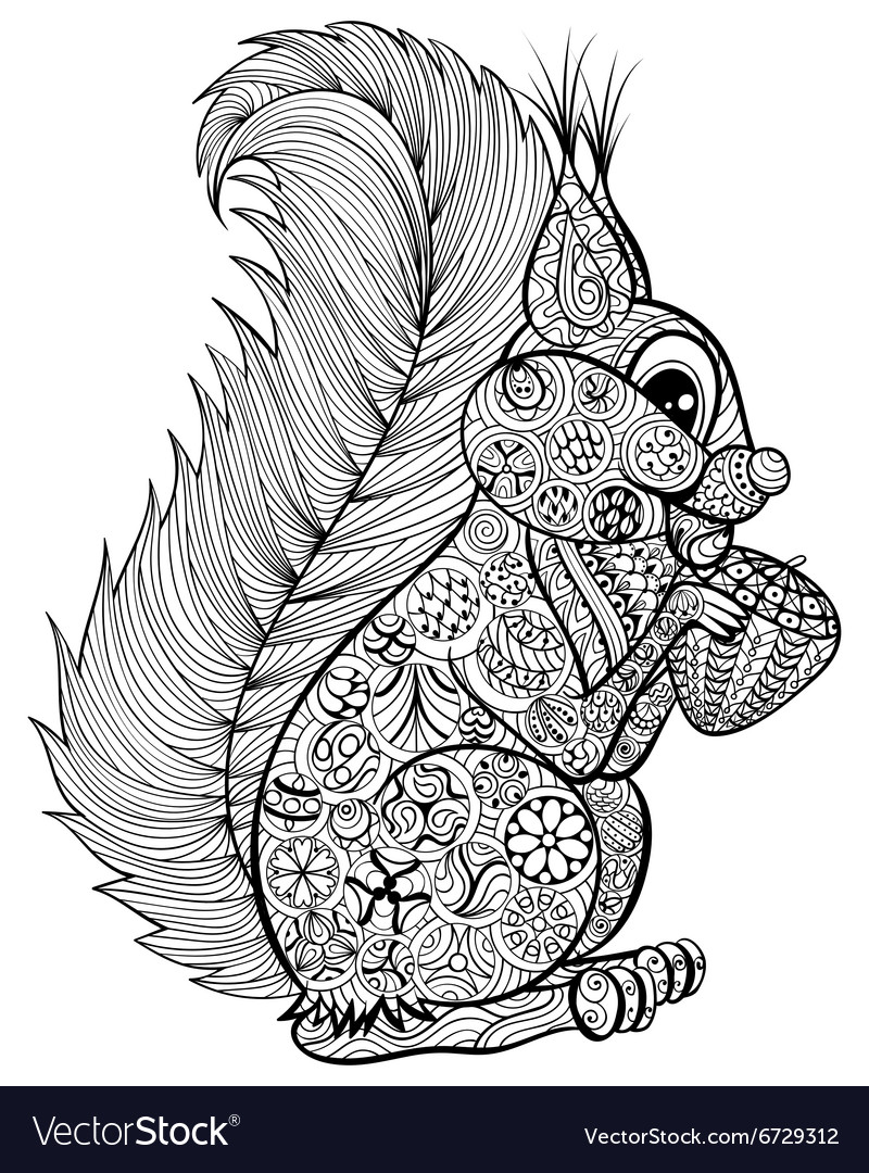 Hand drawn funny squirrel with nut for adult anti Vector Image