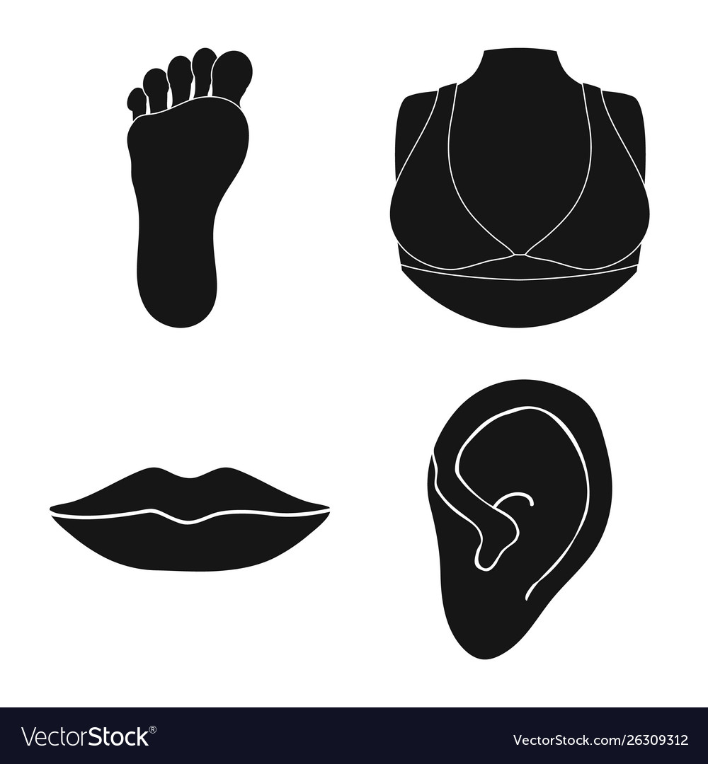 Isolated object body and part logo set vector image Isolated object body and part logo set