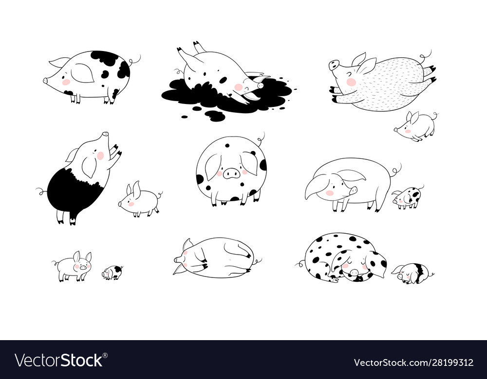 Set with cute cartoon pigs farm animals pig