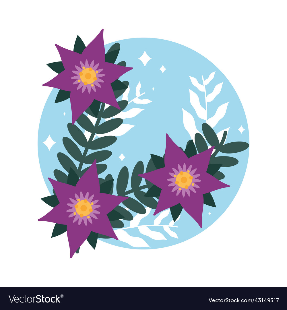 Beautiful purple flowers Royalty Free Vector Image