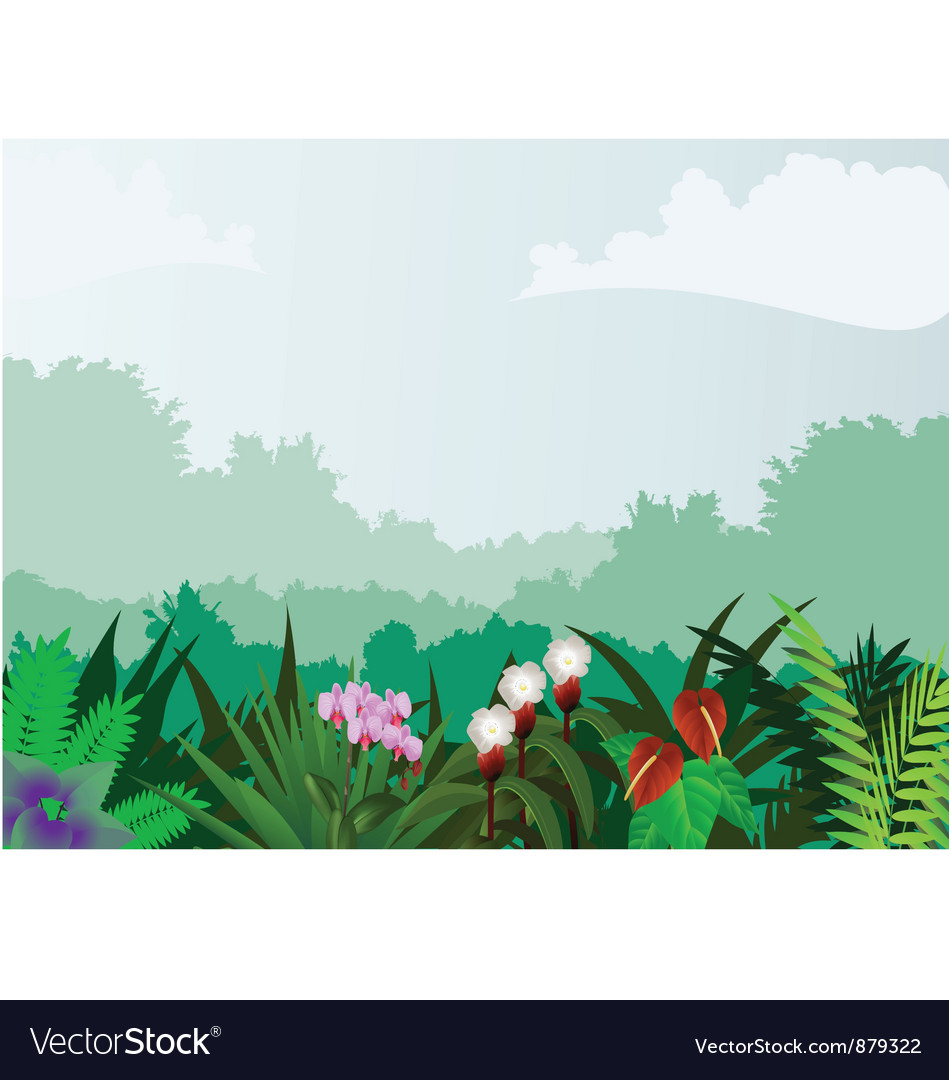 Forest background Royalty Free Vector Image - VectorStock