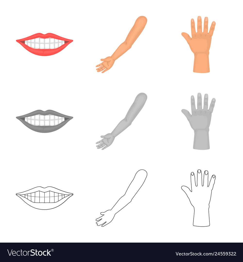 Isolated object of body and part sign collection vector image Isolated object of body and part sign collection