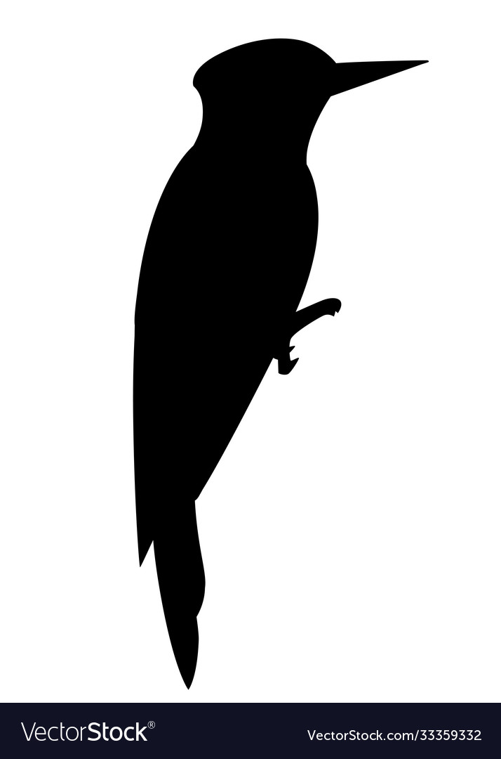 Black silhouette woodpecker bird flat cartoon Vector Image