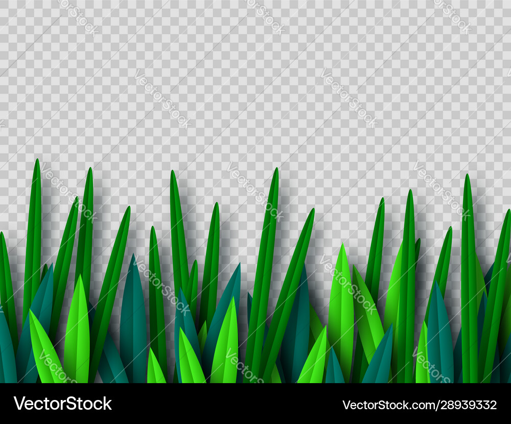 Green grass border Royalty Free Vector Image - VectorStock