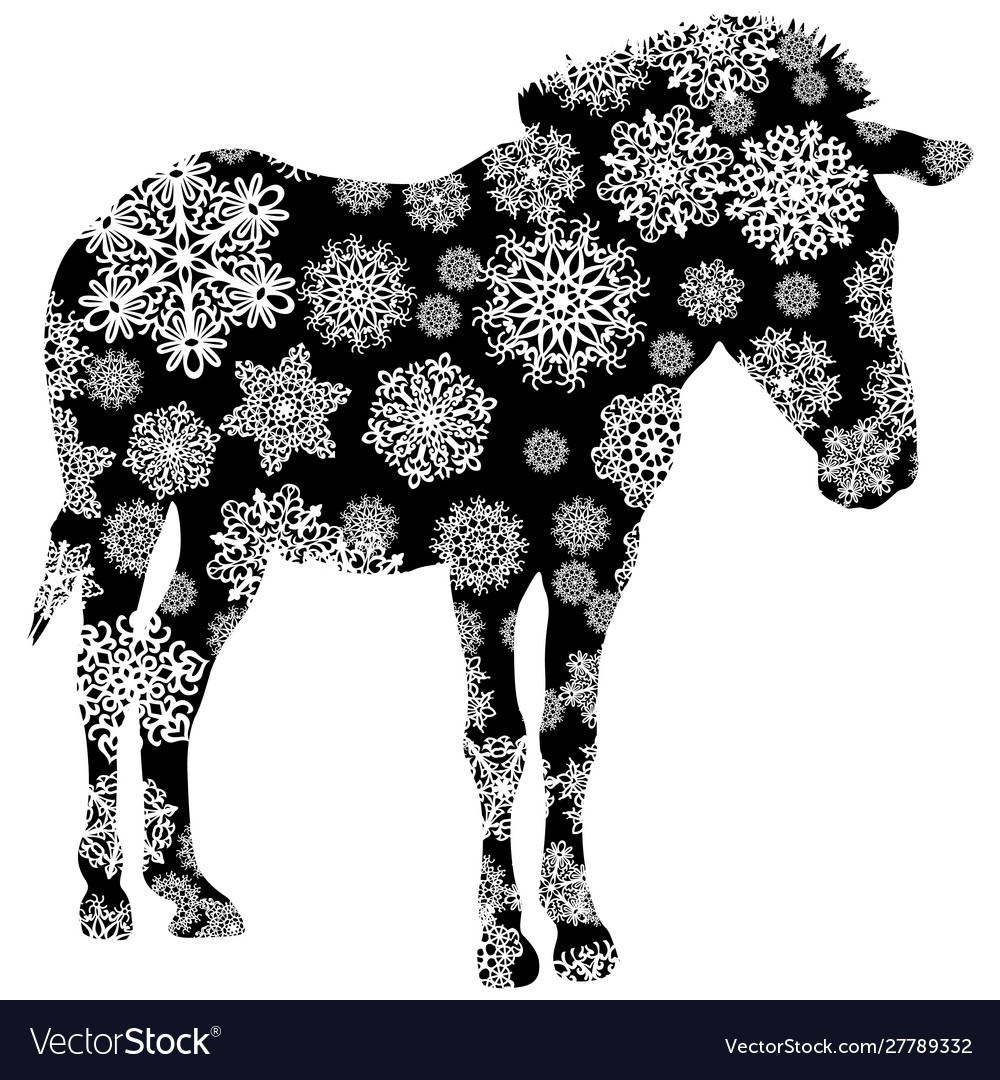 Zebra in Snowflakes Christmas Card