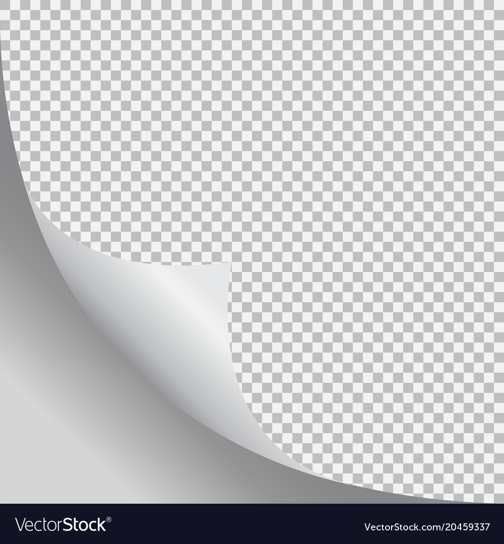 Page curl with shadow on blank sheet of paper