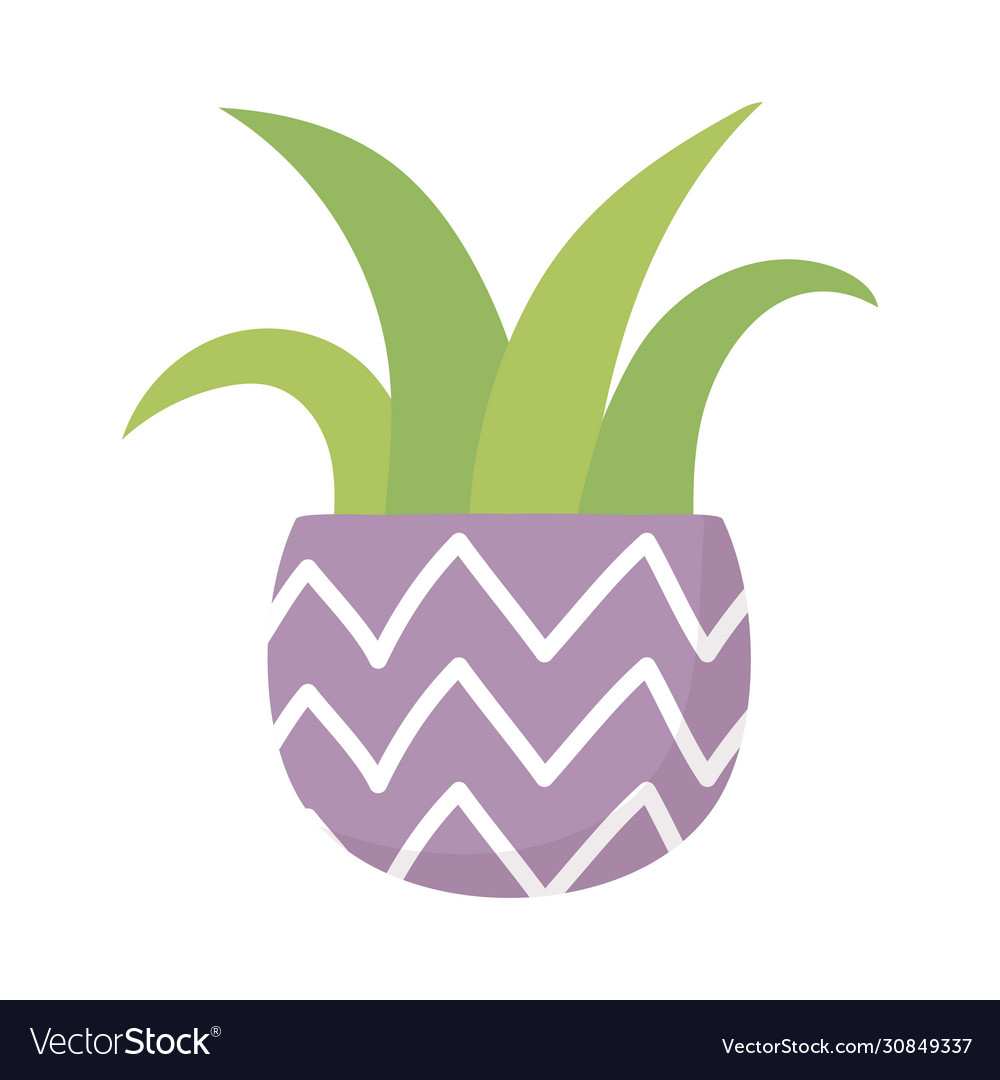 Potted plant decoration isolated icon on white