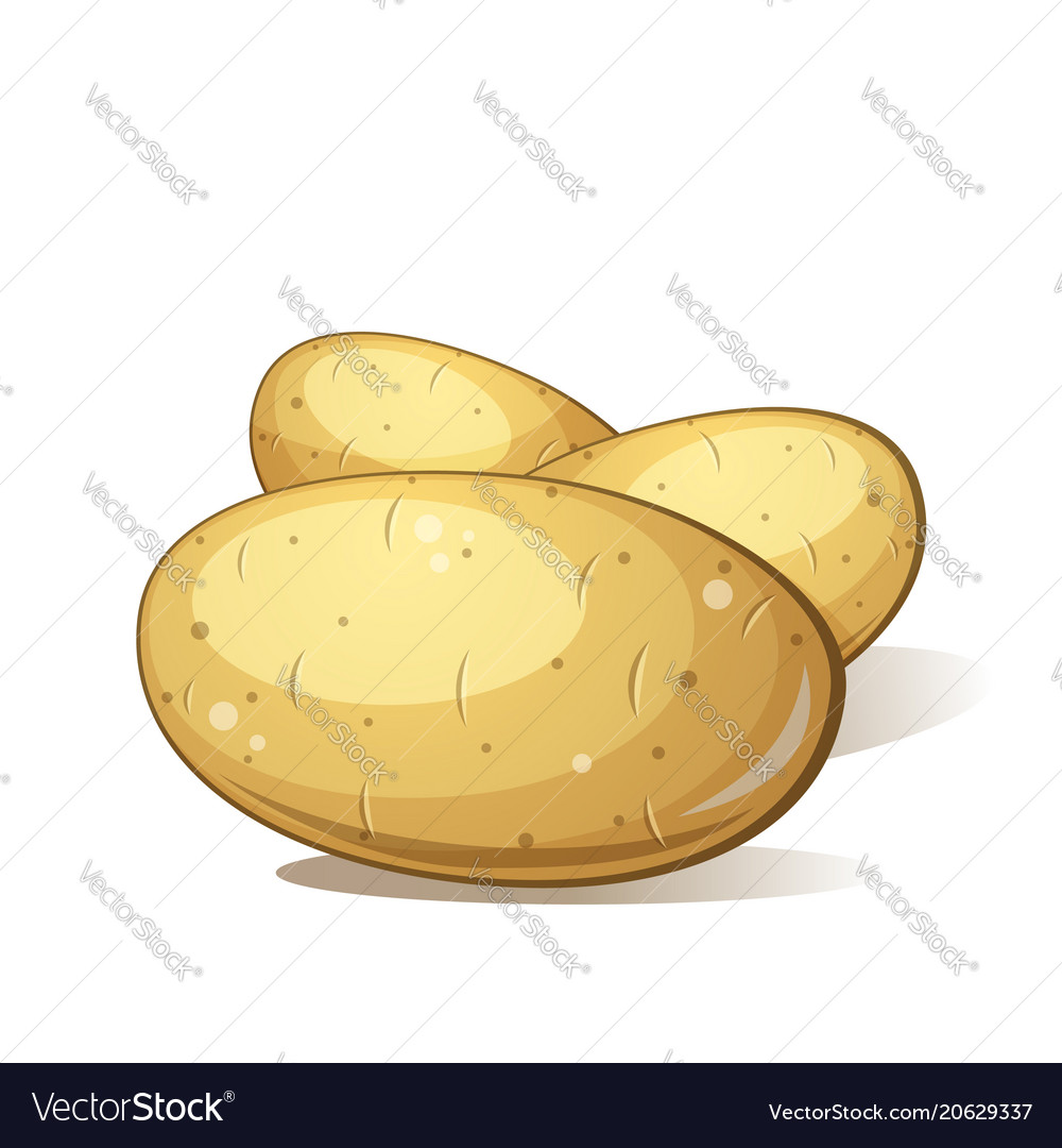 Drei Karikatur Kartoffel lecker und gesunde Nahrung