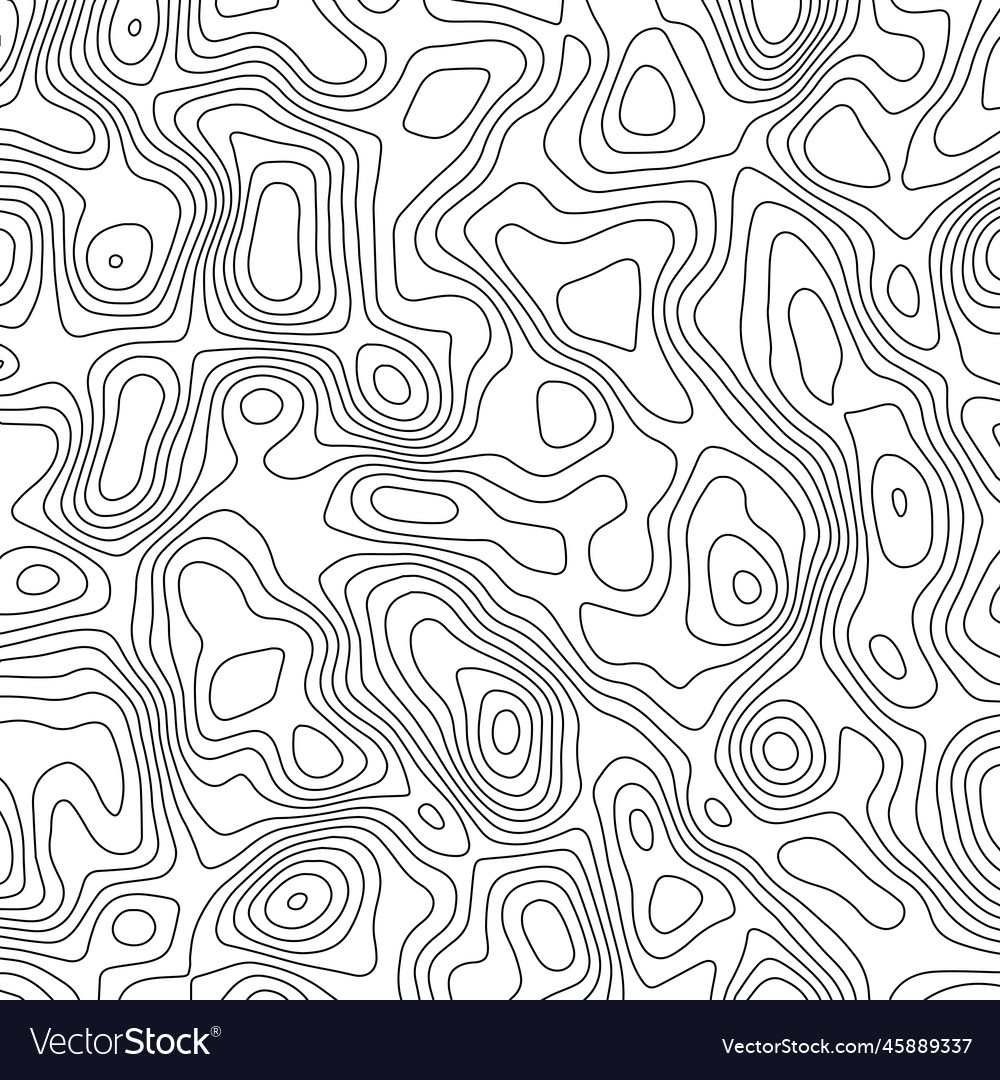 Topographic map background geography concept Vector Image