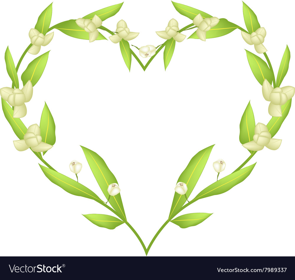 Ylang flowers in a heart shape frame